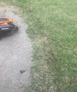 Worx Edger Lawn Tool, Electric Lawn Edger 12 Amp 7.5", Grass Edger & Trencher WG896 12-Amp 7.5" Electric Lawn Edger & Trencher 48 81wNx 0E4OL