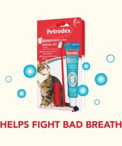 Petrodex Dental Care Kit for Cats, Cat Toothbrush and Toothpaste, Cleans Teeth and Fights Bad Breath, Reduces Plaque Tartar Formation, Malt Flavor, 2.5oz Toothpaste + Toothbrush 1 Count 17 81wS XC0m4L