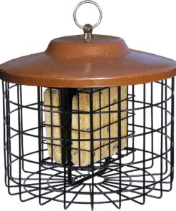 More Birds Squirrel-X Double Suet Feeder, Outdoor Wild Bird Feeder, Cage Bird Feeder, 2 Suet Cake Capacity 15 81wUYx8Y64L