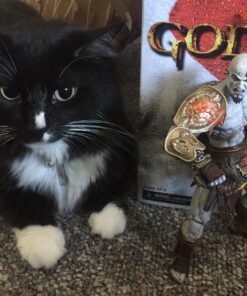 NECA God of War 3 Ultimate Kratos Action Figure (7" Scale) 55 81wUwNvLoL