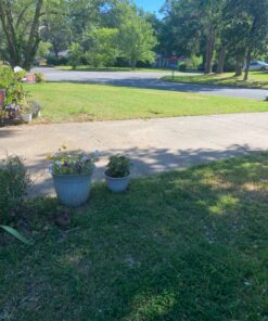 Greenworks 40V 21" Brushless Cordless (Push) Lawn Mower (75+ Compatible Tools), 5.0Ah Battery and Charger Included 21" Mower (5.0Ah) 59 81wV3Iyfm6L