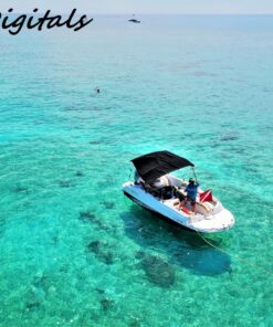 SanDisk 128GB Extreme microSDXC UHS-I Memory Card with Adapter - Up to 160MB/s, C10, U3, V30, 4K, A2, Micro SD - SDSQXA1-128G-GN6MA Card Only 59 81wWuUUAkBL