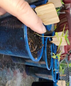 Fox Farm Liquid Plant Fertilizer: Big Bloom, Grow Big, Tiger Bloom (Pack of 3-16 oz. Bottles) 1 Pint Each + Twin Canaries Chart & Pipette 27 81wX4ZCaPHL