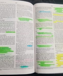 G.T. Luscombe Company, Inc. Accu-Gel Bible-Hi-Glider Bible Study Set | No Bleed Solid Gel Highlighter | No Smearing or Fading | Long Lasting Bright Translucent Colors (Set of 6) 1-Set Set of 6 54 81wYyjL9pKL