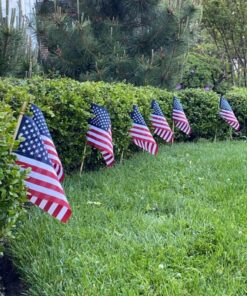 GIFTEXPRESS 12-Pack, Proudly MADE IN U.S.A. 8x12 Inch Spearhead Handheld American Stick Flags/Grave marker American Flags/USA Stick Flag (12) 27 81wc0v8u8ZL