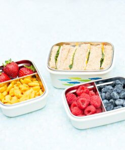 Innobaby Keepin' Fresh Stainless Steel Divided Bento Snack Box with Lid for Kids and Toddlers BPA Free, 11 oz., Blue 19 81wcKKmu7oL