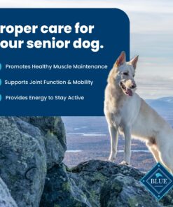 Blue Buffalo Dog Food for Senior Dogs, Life Protection Formula, Natural Chicken & Brown Rice Flavor, Senior Dry Dog Food, 30 lb Bag 30.00 Pound (Pack of 1) 26 81wfOrVLq6L