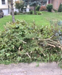 Fiskars 32" PowerGear Bypass Lopper and Tree Trimmer - Sharp Precision-Ground Steel Blade for Cutting up to 2" Diameter - Lawn and Garden Tools - Orange/Black Bypass Lopper 32" 55 81wk9VfE8TL