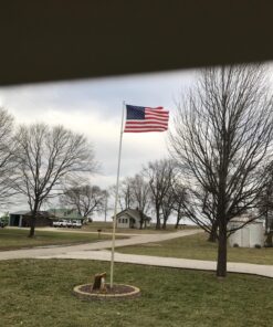 Annin Flagmakers American Flag All-Weather Nylon SolarGuard Nyl-Glo, 4 x 6 Feet (Model 2220) 4x6 ft 36 81wkLR7MFTL