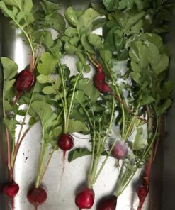 Certified Organic Vegetable Seeds for Planting Outdoors - 13 Seed Variety Pack of Veggie Heirloom Seeds Non GMO Organic Non Hybrid Open Pollinated for Home Garden - Tomato, Broccoli, Carrots, Fruit 48 81wkrkjXkzL