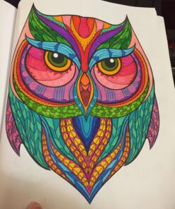 Adult Coloring Book: Stress Relieving Animal Designs 71 81wotKnMwtL