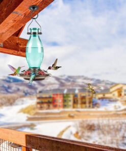 BOLITE 18001 Hummingbird Feeder, Glass Wild Hummingbird Feeders for Outdoors, Retro Edison Bulb Bottle, 25 Ounces, Green, Xmas Gifts for Bird Lovers Retro Bulb 26 81wqg2nvUgL