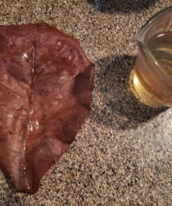 SunGrow Betta Leaves, 8”, 10 Pcs Beneficial Large Catappa Indian Almond Leaves for Overall Development in Fish Tank Aquarium, Water Conditioner Leaves Lower pH Large (8", 10 pack) 53 81wrDwo0L