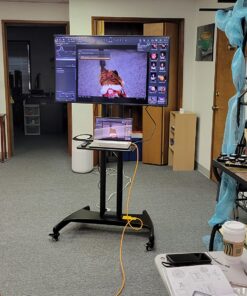 Mount Factory Rolling TV Cart Mobile TV Stand for 40-65 inch Flat Screen, LED, LCD, OLED, Plasma, Curved TV's - Universal Mount with Wheels 43 81wrSSjYQ3L