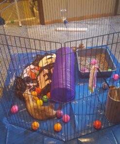 Kaytee Pet-N-Playpen with Mat for Pet Rabbits, Guinea Pigs, Ferrets or Other Small Animals 31 81wsS5LIIlL