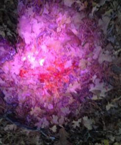 Primos Hunting Bloodhunter HD, Advanced Shadow Free Blood Tracking Light for Night Hunting 26 81wuXGoEQBL