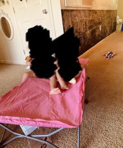 Regalo My Cot Portable Toddler Bed, Includes Fitted Sheet, Pink 43 81wy44uK5vL