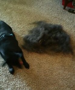 FURemover Original Indoor Pet Hair Rubber Broom with Carpet Rake and Squeegee, Black and Yellow FURemover Original Indoor Broom 40 81wzKiHkxuL