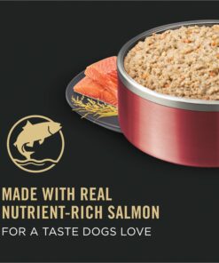Purina Pro Plan Sensitive Skin and Stomach Dog Food Pate, Sensitive Skin and Stomach Salmon and Rice Entree - 13 oz. Can Salmon & Rice - Wet Dog Food (12) 13 oz. Cans 24 81wzVSg1b8L 1