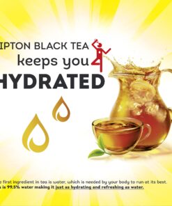Lipton Cold Brew Iced Tea Bags, Family Size, 22 Count 22 Count (Pack of 1) 21 81x0bzVdzNL