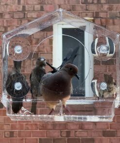 Wild Birds of Joy Bird House Window Bird Feeder with 4 Super Strong Suction Cups & Locking, Sliding Seed Tray, Extra Large, Clear Acrylic, Outdoor Bird Feeders, Outside View of Cardinal and Blue Jay 27 81x3G6TKTmL 2