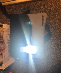 PetSafe Treat Pouch Sport- Durable, Convenient Dog Training Accessory, Standard, Black 44 81x4YnOaWgL 1