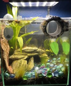 SunGrow Betta Leaves, 8”, 10 Pcs Beneficial Large Catappa Indian Almond Leaves for Overall Development in Fish Tank Aquarium, Water Conditioner Leaves Lower pH Large (8", 10 pack) 37 81x4d 5fTaL