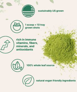 Micro Ingredients Sustainably US Grown, Organic Wheat Grass Powder (100% Whole-Leaf), 16 Ounce, Rich in Immune Vitamins, Fibers and Minerals, Support Digestion Function, Vegan Friendly 16 Ounce (Pack of 1) 23 81x5FLDNK7L