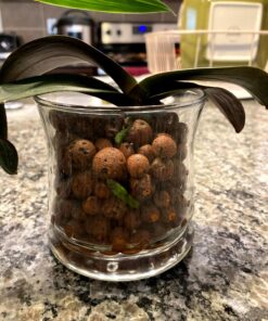 Expanded Clay Pebbles LECA Grow Media for Plants, Orchids, DWC Hydroponics, Aquaponics, Aquaculture Garden Soil Additive Conditioner Amendment Ceramsite Aggregate Cz Garden 2 LBS Cz Expanded Clay Pebbles 52 81x6q27VCPL