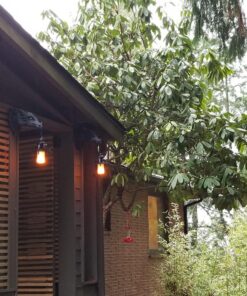 Design Toscano Marshgate Castle Dragon Electric Wall Sconce Light Fixture, Greystone 23 81x8R5P8VVL