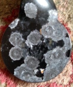 Caldwell Resetting Targets with Portable Design and Shooting Spots for Outdoor, Range, Shooting and Hunting Airgun 24 81x9KQer41L