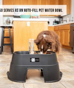 OurPets Comfort Diner Elevated Dog Food Dish (Bowls Available in 4 inches, 8 inches and 12 inches for Large , Medium and Small Dogs), Black, 12-inch 26 81xA67gpa6L