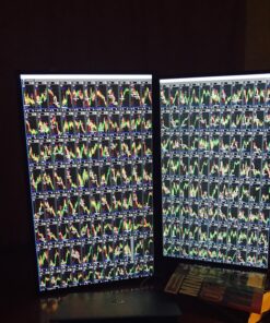 LG 32MA68HY-P 32-Inch FHD 1080p IPS Monitor with Display Port and HDMI Inputs 58 81xAqx3WyGL