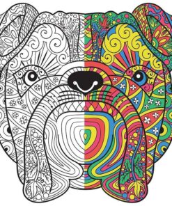 Adult Coloring Books Set - 3 for Grownups 120 Unique Animals, Scenery & Mandalas Designs. Adults Relaxation. 41 81xD8pXuYpL