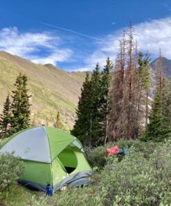 Coleman Sundome Camping Tent, 2/3/4/6 Person Dome Tent with Snag-Free Poles for Easy Setup in Under 10 Mins, Included Rainfly Blocks Wind & Rain, Tent for Camping, Festivals, Backyard, Sleepovers Palm Green 3 Person 46 81xFlLWD63L