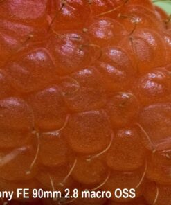 Oshiro 60mm f/2.8 2:1 LD UNC Manual Ultra-Macro Lens Compatible with Sony E-Mount a9, a7r, a7s, a7, a6600, a6500, a6400, a6300, a6000, a5100, a5000, a3500, a3000 Mirrorless Cameras (EOS-E) 82 81xKfImMvpL