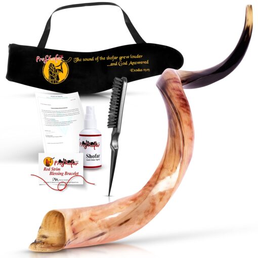 43"-47" Yemenite Shofar Kosher & polish+ Free Bag