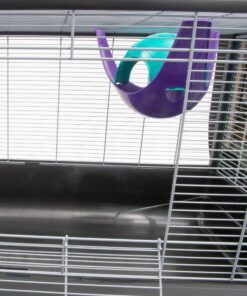 Lixit Critter Space Pod Hideaway Home for Guinea Pigs, Rats, Mice, Hamsters, Gerbils and Other Small Animals (Assorted, Large) Assorted 38 81xQRs2RZFL