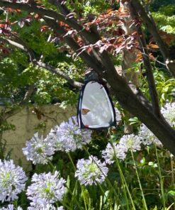 RESTCLOUD Mini Butterfly Habitat, Insect Mesh Cage, Bug Terrarium Pop Up 7.5" x 11" Tall 7.5" x 11" 25 81xT2dVA2QL