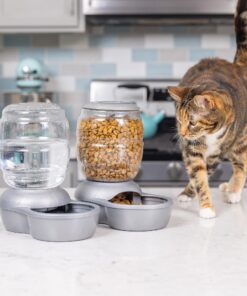 Petmate Replendish Automatic Gravity Waterer for Cats and Dogs, BPA-Free, No Batteries Required, Includes Charcoal Filter, 1 Gallon, Made in USA Silver 1 GAL 37 81xWrZVWReL