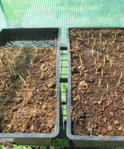 VIVOSUN 10"x 20.75" Seedling Heat Mat and Digital Thermostat Combo Set, UL & MET-Certified Warm Hydroponic Heating Pad for Germination, Indoor Gardening, Greenhouse 10"x20.75" 36 81xaYN1tJ1L