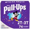 Pull-Ups Boys' Potty Training Pants, Size 4, 2T-3T, 74 Ct 59 81xifVOL8DL