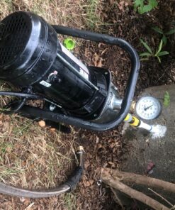 WAYNE PLS100 1 HP Portable Stainless Steel Lawn Sprinkling Pump 18 81xt36PH5zL