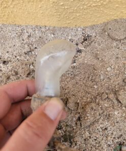 Brightech Ambience Pro Solar Powered Outdoor String Lights, 27 ftCommercial Grade Waterproof Patio Lights, 12 Edison Bulbs, Shatterproof LED Solar Christmas String Lights - 1W LED, Soft White 27 Feet 45 81xvNxoS24L