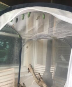 RESTCLOUD Insect and Butterfly Habitat Cage Terrarium Pop-up 23.6 Inches Tall White With Black 15.7 x 15.7 x 23.6 inches 35 81y0cBE3RuL