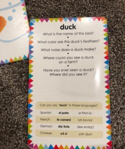 My First Touch and Feel Picture Cards: Animals (My First Board Books) 47 81y0mcyBdIL