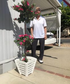 Nearly Natural 5228 Mini Bougainvillea Topiary Beauty, 5-Feet,9" x 9" x 62.5" , Green Plant 40 81y4UUdcxhL