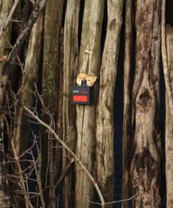 Nite Guard Solar Predator Control Light, (Pack of 4) 13 81y5zGIfGUL