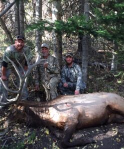 OUTDOOR EDGE RazorPro Double Blade Folding Hunting Knife - Field Butcher Knife with Replaceable RazorSafe & Gutting Blades, Orange Non-Slip Handle, Camo Holster, & 6 Blades. Must-Have Hunting Gear Orange (6 Blades) 19 81y9znXywBL 1