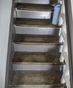 Savogran 10501 Wood Bleach, 12 oz,Black 38 81yAAlSCfcL